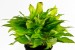 copy_101_023.jpg