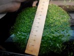 copy_183_20160509125141.jpg