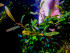 copy_341_copy_988_copy_116_copy_519_copy_34_Metallic-Wave_2.jpg