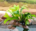 copy_352_20160509125302-1.jpg
