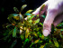 copy_795_copy_916_copy_402_copy_770_copy_234_4_1.jpg