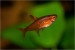 copy_807_copy_790_copy_754_8-1.jpg
