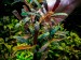 copy_889_copy_629_copy_64_copy_837_copy_687_Biblis-Sky-Blue.jpg