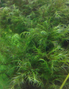 copy_891_21012016124-002.jpg
