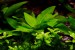copy_896_078_1.jpg
