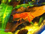 copy_935_copy_291_IMG_0441.jpg