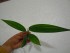 copy_953_DSCN4280.jpg