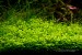 copy_958_copy_894_copy_531_046.jpg