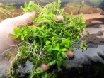 copy_969_20160509130810.jpg