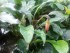 20150506_171731.jpg