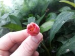 20150515_123021.jpg