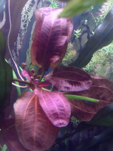 2016-04-24 15.45.45-001.jpg