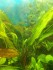 20160602202344.jpg