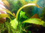 20160602202641.jpg