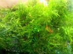 20160603082838.jpg