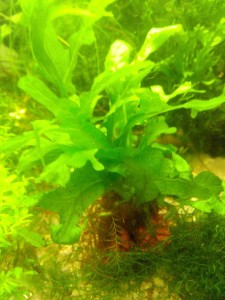 20160604212453.jpg