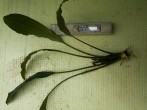 20160606_165301.jpg