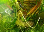 20160607_121721.jpg