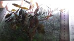 20160610_112448.jpg