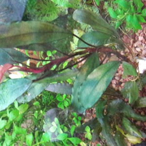 20160610_113246.jpg