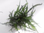 20160612151131.jpg
