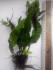 20160612151338.jpg