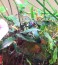 20160615_222306.jpg