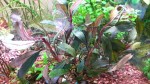 20160615_222852.jpg