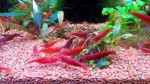 20160623113341.jpg