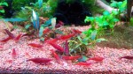 20160623114408.jpg