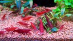 20160623114418.jpg
