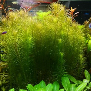 20160625124143.jpg