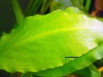 DSCN2118.JPG