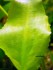DSCN2119.JPG