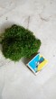 IMG_2016-06-21_173416.jpg