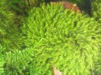 IMG_5755.JPG
