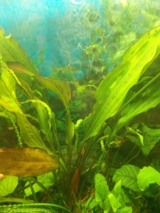 copy_677_20160602202344-1.jpg