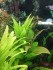 copy_742_IMG_20160410_151507.jpg