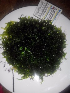 copy_756_IMG_20160526_104936.jpg