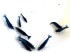copy_802_copy_233_DSC_4509_cr_velvet_cr_800_600.jpg