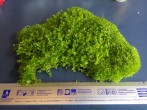 copy_866_copy_716_2015-10-11-11.35.51.jpg