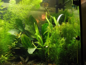 Изображение 035.jpg