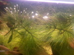 20160514_085228.jpg