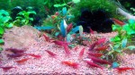 20160623113359.jpg