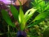 20160714_204601.jpg
