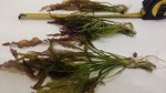 20160730_201917.jpg
