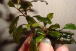 DSC06562.JPG
