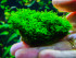 DSCF3821.jpg