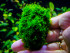 DSCF3823.jpg