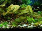 DSCN0323.JPG